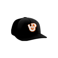 1488 Team Cap PTS30 BALLS-DEEP-ADDONS