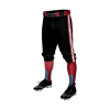3277 CL KNICKERS CUSTOM BRAIDED BALL PANT NW-VENOM-1