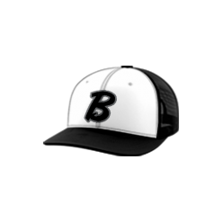 3311 Team Cap Trucker 112 BE-THE-BAG-1