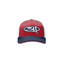 545 Team Cap R172 311-1