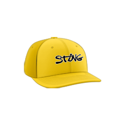 3329 Team Cap PTS30 WV-STING-1