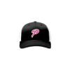 2847 Team Cap R172 PINKALICIOUS-2