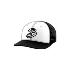 2049 Team Cap Trucker 112 TEAM-BIDNESS-1