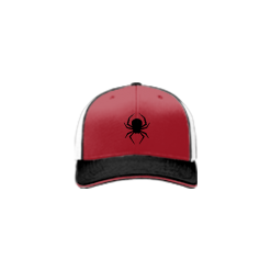 3329 Team Cap R172 BLACK-WIDOWS-1