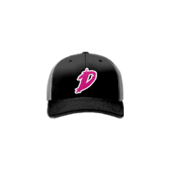 3354 Team Cap R172 DIRTBAGS-1