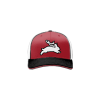 3376 Team Cap R172 JACKEDALOPES-1