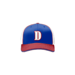 2395 Team Cap R172 DUTCHS-1