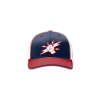 2683 Team Cap R172 IBEW-176-1