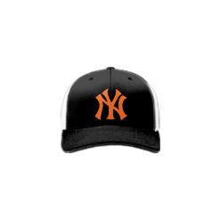 429 Team Cap R172 BROWN-TIDE-1