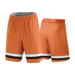 3394 UNISEX HIGH RISE BASKETBALL SQUARE MESH SHORTS CL NA-DONKEY-BASKETBALL