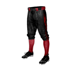 2450 CL KNICKERS CUSTOM BRAIDED BALL PANT COMACHOS-1
