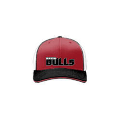 3415 Team Cap R172 RAGIN-BULLS-1