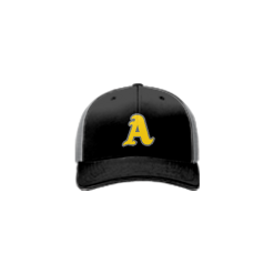 3416 Team Cap R172 ANTHONYS-1