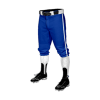 3407 CL KNICKERS CUSTOM BRAIDED BALL PANT GANDY-1