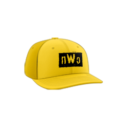 3420 Team Cap PTS30 NWO-1