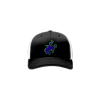 1727 Team Cap R172 307-REBOOT-1