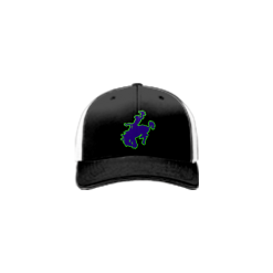 1727 Team Cap R172 307-REBOOT-1