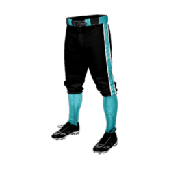 2898 CL KNICKERS CUSTOM BRAIDED BALL PANT SPIDERDRAFT-BRIGHTTEAL-BLACK-1