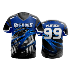 3444 FD Sport V-Neck MENS BIG-DOGS-1