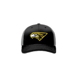 739 Team Cap R172 SEAHAWKS-1