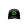 3461 Team Cap R172 DUBLIN-BASEBALL-CLUB-BOMBERS-1