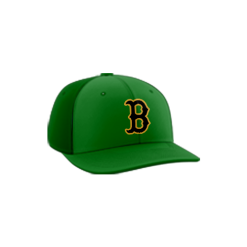3461 Team Cap PTS30 DUBLIN-BASEBALL-CLUB-BOMBERS-1