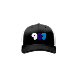 1484 Team Cap R172 POLY907-1