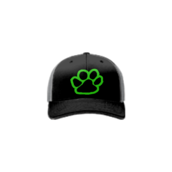 3507 Team Cap R172 PRIDE-1