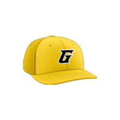 2286 Team Cap PTS30 GENERALS-2022-1