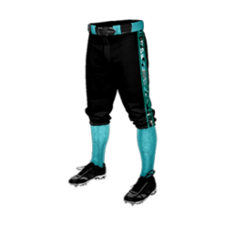 2283 CL KNICKERS CUSTOM BRAIDED BALL PANT THUNDER-BUDDIES-1