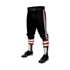3384 CL KNICKERS CUSTOM BRAIDED BALL PANT L2S-1
