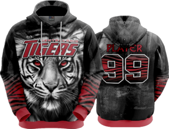 2573 FD Hoody CENTRAL-OHIO-TIGERS-3