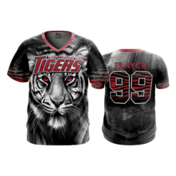 2573 FD Sport V-Neck MENS CENTRAL-OHIO-TIGERS-3