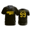3532 FD Sport V-Neck MENS QUEEN-BEE-3