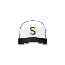 2549 Team Cap R172 STIX-TENN-1