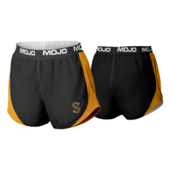 2549 CL WOMENS TRACK SHORTS STIX-TENN-2