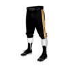 2549 CL KNICKERS CUSTOM BRAIDED BALL PANT STIX-TENN-3