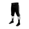 3554 CL KNICKERS CUSTOM BRAIDED BALL PANT VENOM-2