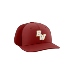 3594 Team Cap PTS30 BW-EAGLES-1