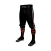 3584 CL KNICKERS CUSTOM BRAIDED BALL PANT LOADED-BASES