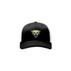 3614 Team Cap R172 CLAY-PANTHERS-1