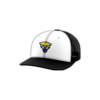 3614 Team Cap Trucker 112 CLAY-PANTHERS-1