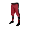 3621 CL KNICKERS CUSTOM BRAIDED BALL PANT CRUSHERS-2023-1