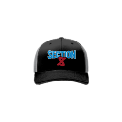 3616 Team Cap R172 SECTION-8-1