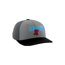 3616 Team Cap PTS30 SECTION-8-1