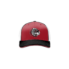 3624 R/P FLEX FIT CAP 172 HILLSBORO-INDIANS-1