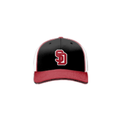 3627 R/P FLEX FIT CAP 172 SAN-DIEGO-1