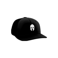 3064 R/P FLEX FIT CAP PTS30 WARRRIORS-HATS