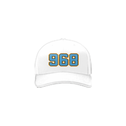 2944 R/P FLEX FIT CAP 172 IBEW-968-1