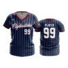 3620 FD Womens V-Neck CLYDESDALES-2